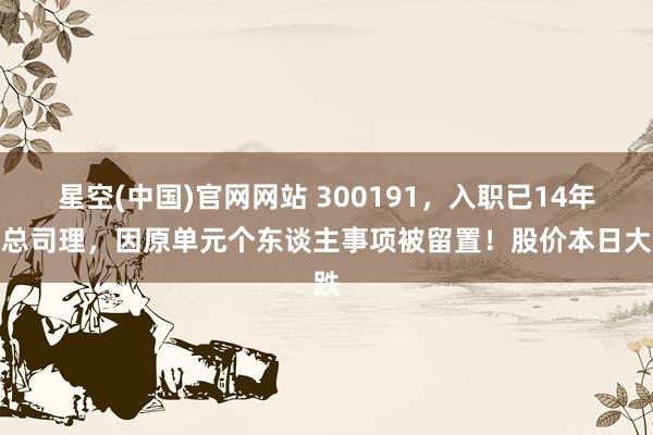 星空(中国)官网网站 300191，入职已14年副总司理，因原单元个东谈主事项被留置！股价本日大跌