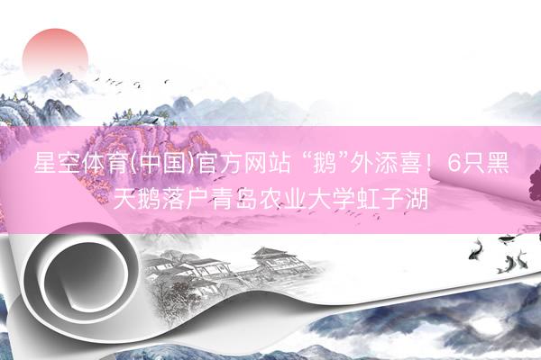 星空体育(中国)官方网站 “鹅”外添喜！6只黑天鹅落户青岛农业大学虹子湖