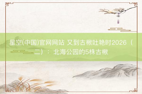 星空(中国)官网网站 又到古楸吐艳时2026（二）：北海公园的5株古楸