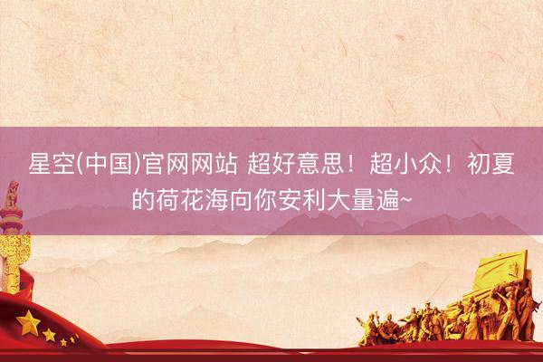 星空(中国)官网网站 超好意思！超小众！初夏的荷花海向你安利大量遍~