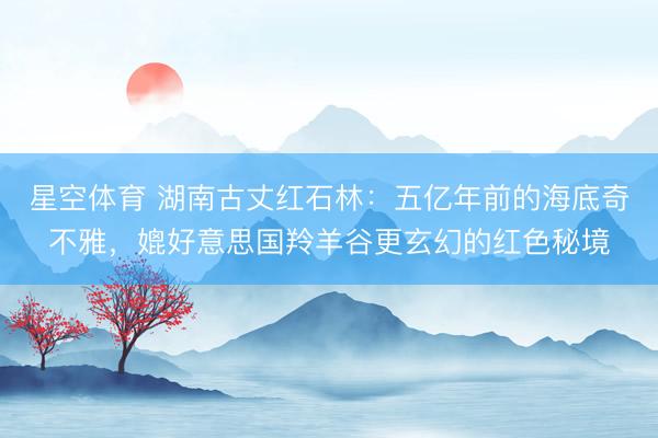 星空体育 湖南古丈红石林：五亿年前的海底奇不雅，媲好意思国羚羊谷更玄幻的红色秘境