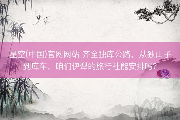 星空(中国)官网网站 齐全独库公路，从独山子到库车，咱们伊犁的旅行社能安排吗？
