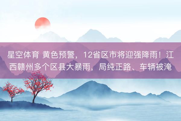 星空体育 黄色预警，12省区市将迎强降雨！江西赣州多个区县大暴雨，局纯正路、车辆被淹