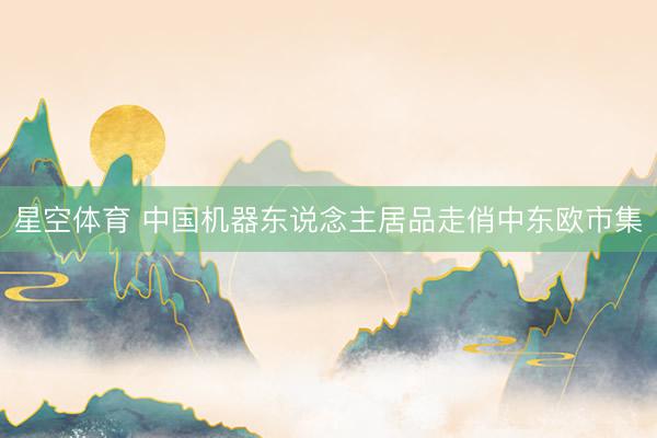 星空体育 中国机器东说念主居品走俏中东欧市集