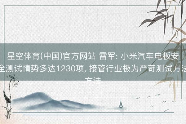星空体育(中国)官方网站 雷军: 小米汽车电板安全测试情势多达1230项， 接管行业极为严苛测试方法