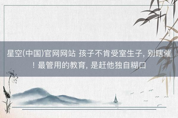 星空(中国)官网网站 孩子不肯受室生子， 别瞎催! 最管用的教育， 是赶他独自糊口