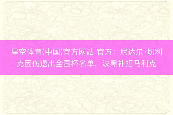 星空体育(中国)官方网站 官方:尼达尔·切利克因伤退出全国杯名单,波黑补招马利克
