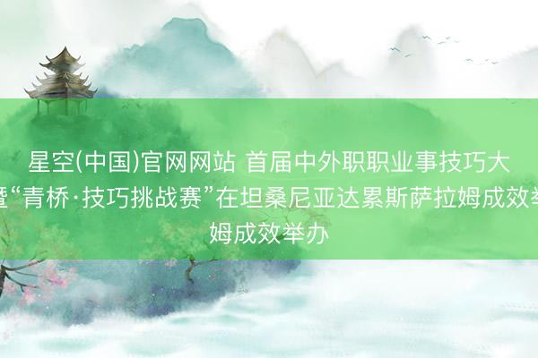 星空(中国)官网网站 首届中外职职业事技巧大赛暨“青桥·技巧挑战赛”在坦桑尼亚达累斯萨拉姆成效举办