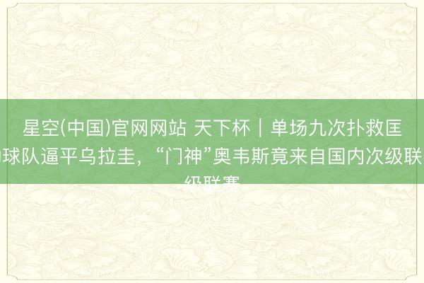 星空(中国)官网网站 天下杯|单场九次扑救匡助球队逼平乌拉圭,“门神”奥韦斯竟来自国内次级联赛