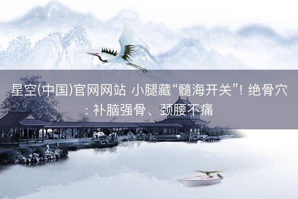 星空(中国)官网网站 小腿藏“髓海开关”! 绝骨穴: 补脑强骨、颈腰不痛